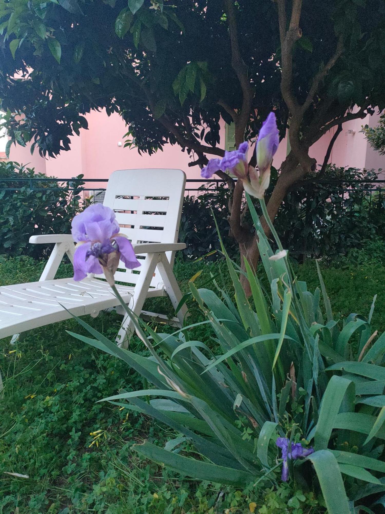 Villa La Casa Di Cri Al Mare Due Borgio Verezzi Esterno foto