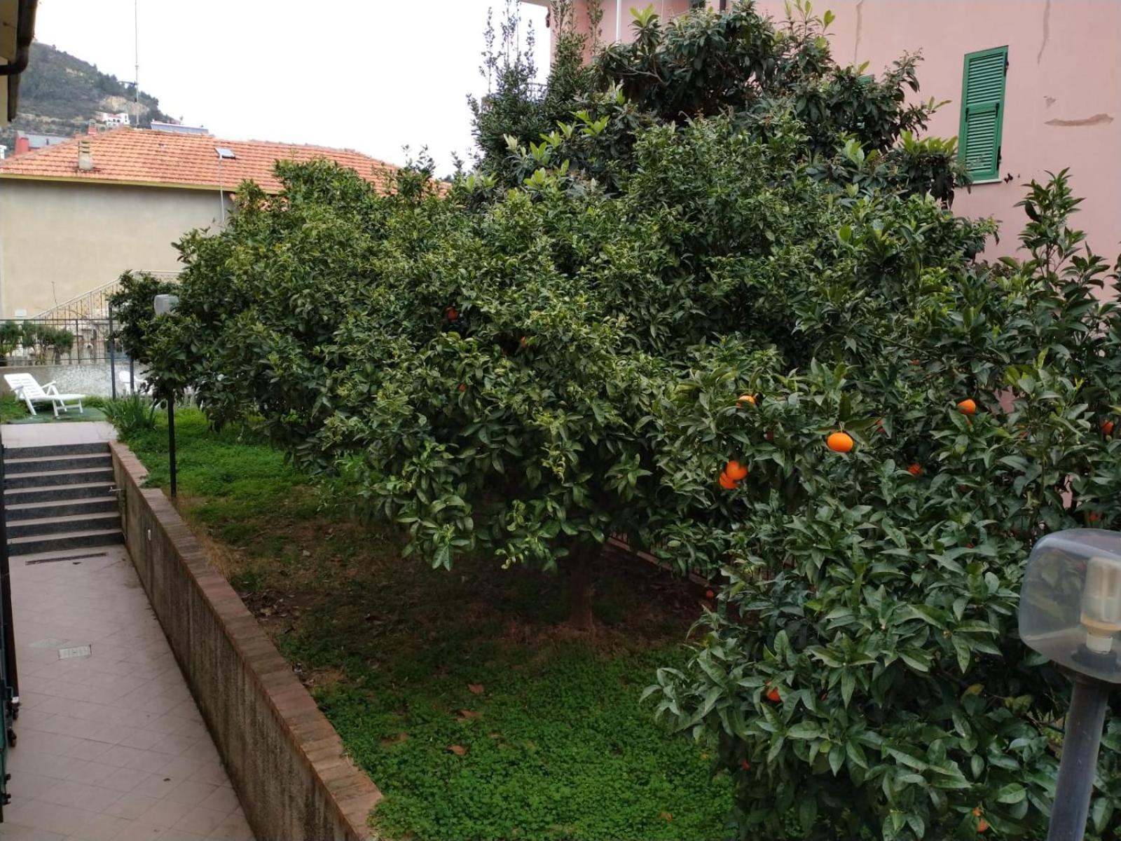 Villa La Casa Di Cri Al Mare Due Borgio Verezzi Esterno foto